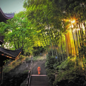 130 杭州园林 灵隐风景区之灵隐寺2