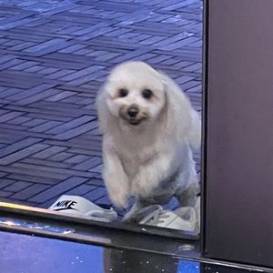 小叶同学说