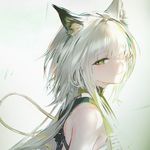 白羽鱼