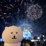 吃番茄炒蛋的猫