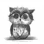 大大大大油猫饼