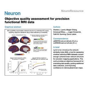 1516-Network Similarity for Precision Functional Mapping