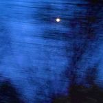 疯狂自由的乖乖女