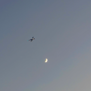 No.56-和恶趣味相处，好罪恶！好快乐！