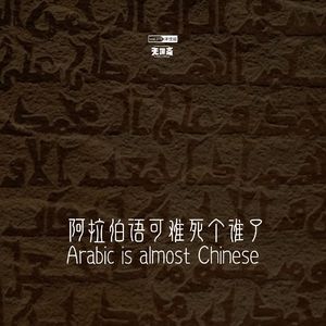 vol.278 阿拉伯语可难死个谁了！
