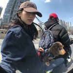 宇宙寄给53的信
