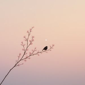 07. 高敏感是天赋，过度解读才是劫难｜对话教练Yuki