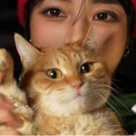 头上长猫了
