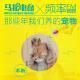 那些年我们养的宠物-马扎儿44