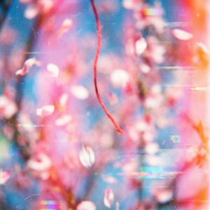 16. 替嫁带球跑，破镜不重圆，15年前的网文还是精彩