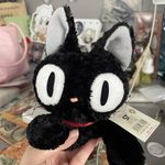 miowwww