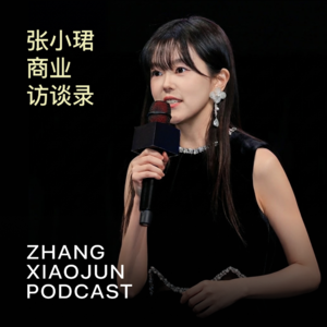 张小珺Jùn｜商业访谈录