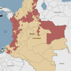 EP14 哥伦比亚“2万具尸体”背后的真相