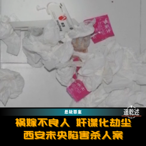 EP46|悬疑罪案|祸嫁不良人 奸谋化劫尘 — 西安未央陷害杀人案