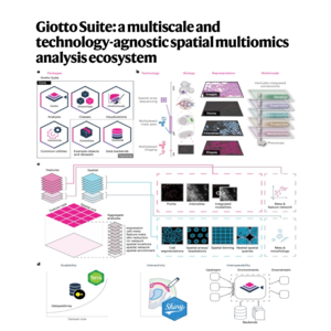 147-Giotto Suite:空间组学多尺度多模态分析