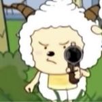 并无一只绵羊