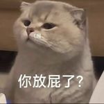 孙邈邈