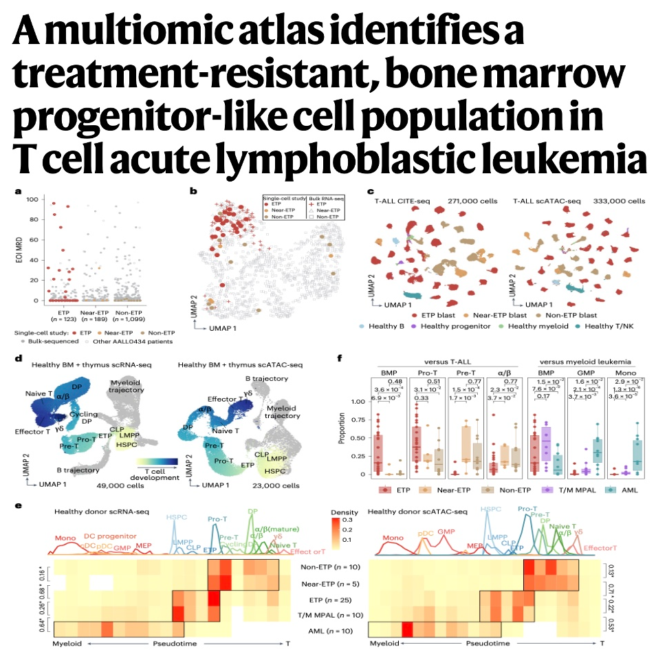 681-A Multiomic Atlas of Treatment Resistance in T-ALL episode artwork