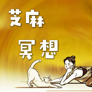 vol.003【芝麻冥想】|树洞秘密知多少+神奇的树洞冥想