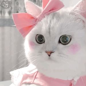 老板来杯暴打柠檬茶