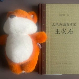 91. 荐书 - 《北宋政治改革家王安石》 邓广铭著