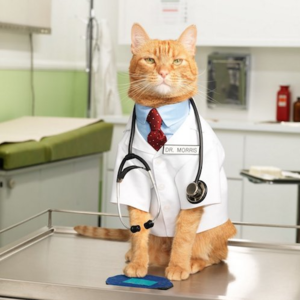 从爆款网文《我妻之死》谈加拿大医疗体系的几个细节