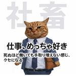 makimaki酱
