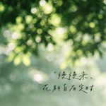 薄荷海盐苏打