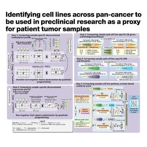 1137-CTDPathSim2.0: Mapping of Cell Lines to Patient Tumors