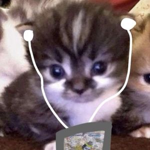 podcaster-avatar