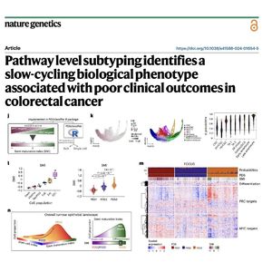 1376-Pathway Level Subtyping of Colorectal Cancer Phenotypes