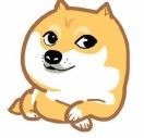 rinrin_OruU
