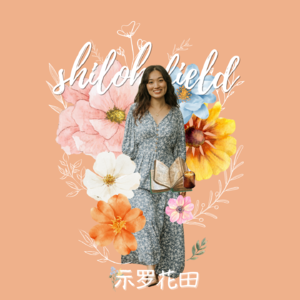 寻求自我价值，向内还是向外？