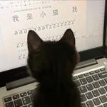叶维娅