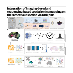 470-Integrated Multimodal Spatial Omics Mapping via DBiTplus