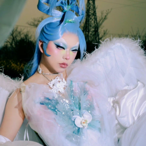 新春特辑——鹿贰、深圳与迎媋花开