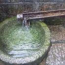 滢之很少看微信急事请打电