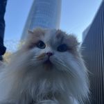 猪咪咪咪咪咪咪