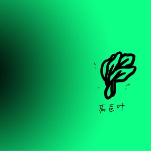 莴苣叶耶