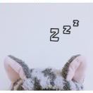 Ans_lbHA