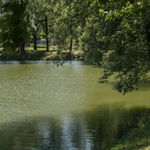 34.血色迷踪：四川内江沉尸案