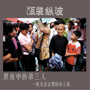 15.黑夜中的第三人:一桩无法定罪的杀人案