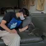 陈梓鑫