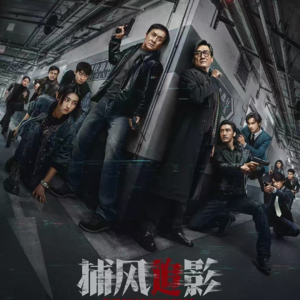 16《捕风追影》：近十年最好的成龙电影？