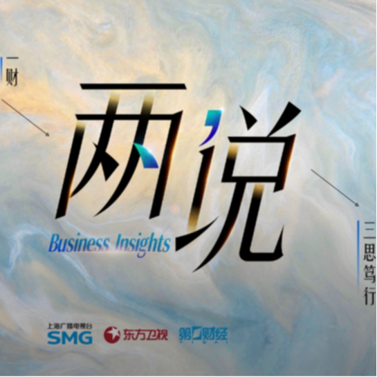 cover of episode 2025，中国经济有条件的乐观之年丨两说