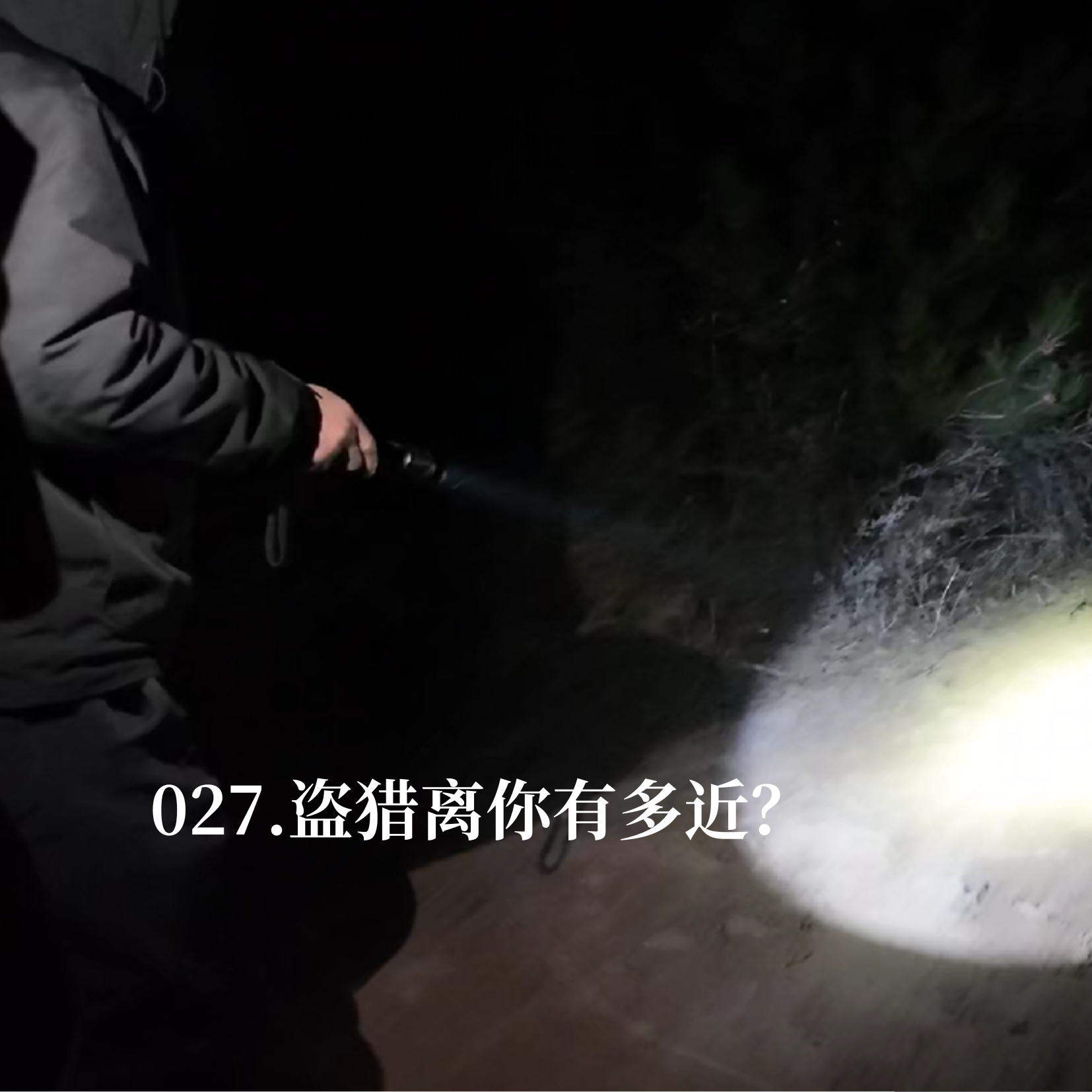 027.弹弓、兽夹、无人机坠箭：盗猎比你想象的更近 episode artwork