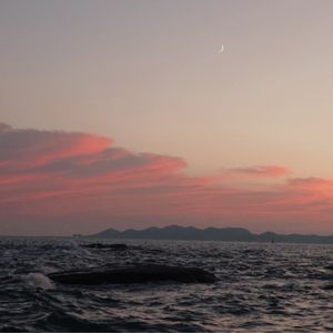 podcaster-avatar