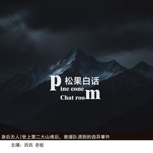 身后无人|世上第二大山难后，救援队在山上遇到里离奇诡异事件（上）