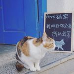 乐子