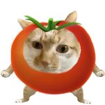 围城奶奶